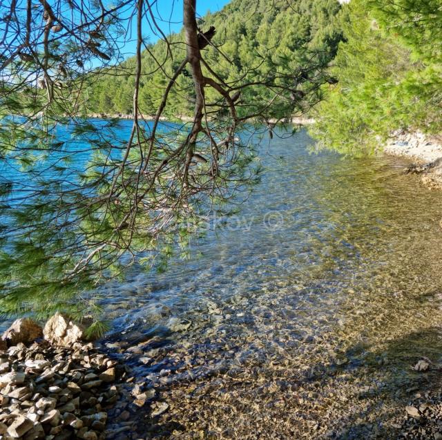 Prodaja, poljoprivredno zemljište prvi red uz more