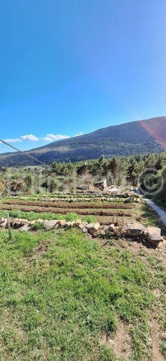 Tugare, građevinska parcela s velikim voćnjakom