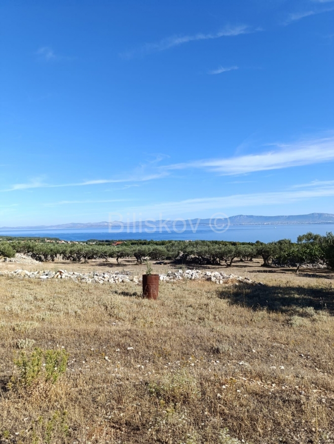 Prodaja, Maslinik 9100 m2, Supetar, Otok Brač