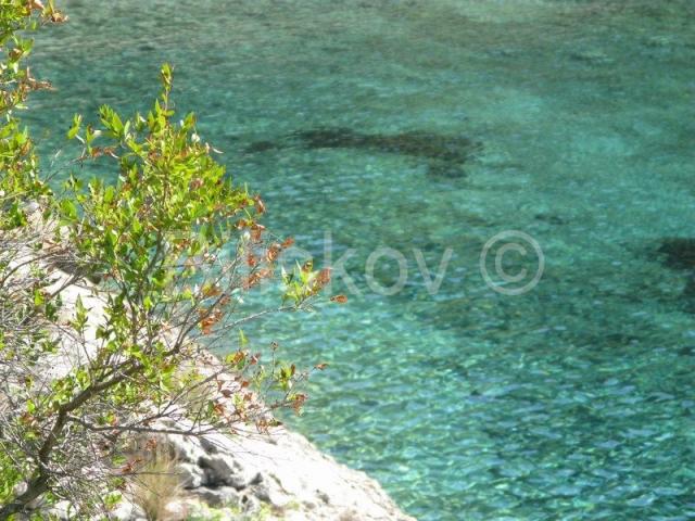 Korčula 1. red moderna vila s bazenom, vez za brod, prodaja