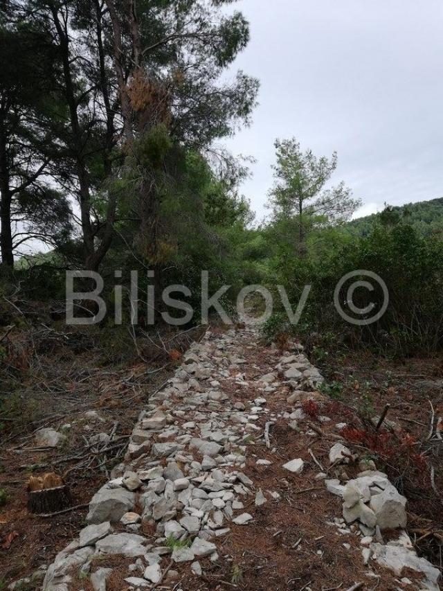 Vela Luka građevno zemljište 2375m2 s ucrtanim objektom