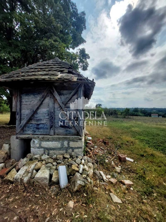 Barajevo - Beljina - Karađorđeva ID#1550