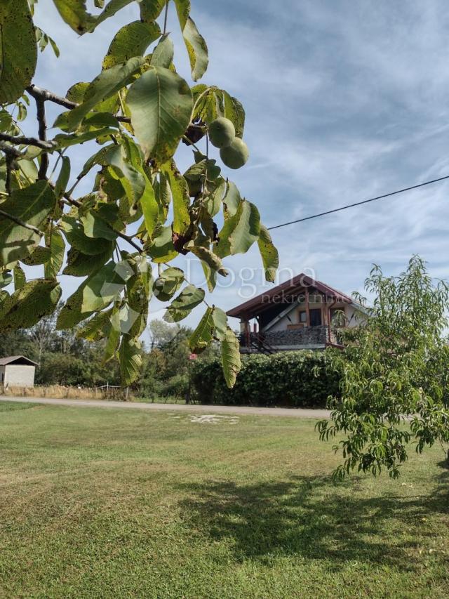 Haus Slavsko Polje, Gvozd, 100m2