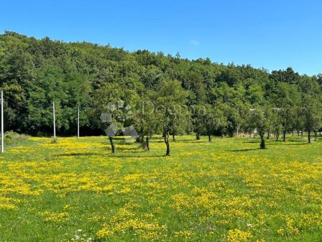 Land Mušaluk, Gospić - Okolica, 7.000m2