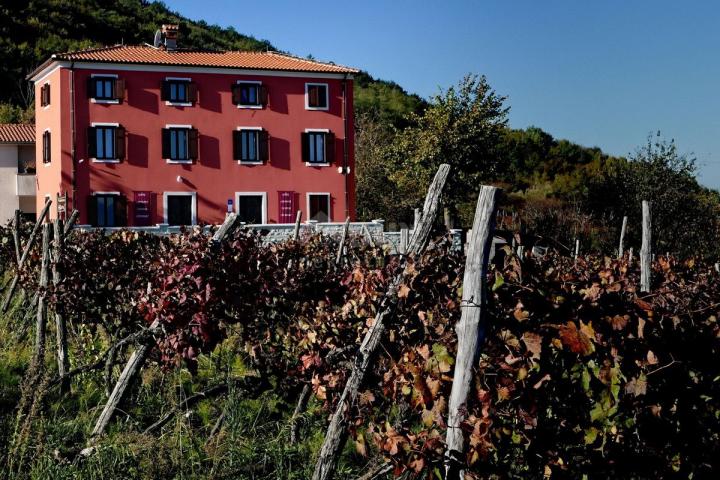 ISTRA, MOTOVUN - Kuća na jedinstvenom položaju i s jedinstvenom ponudom u Istri