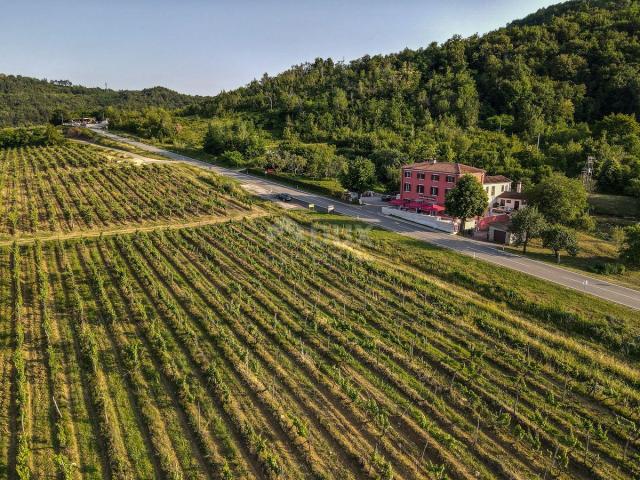 ISTRA, MOTOVUN - Kuća na jedinstvenom položaju i s jedinstvenom ponudom u Istri