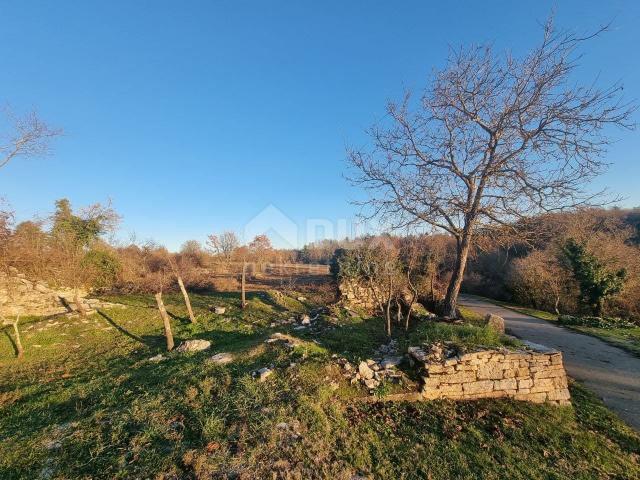 ISTRA, TINJAN - Predivno građevinsko zemljište za gradnju više vila