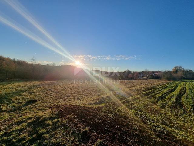 ISTRIA, TINJAN - Beautiful building land for the construction of several villas