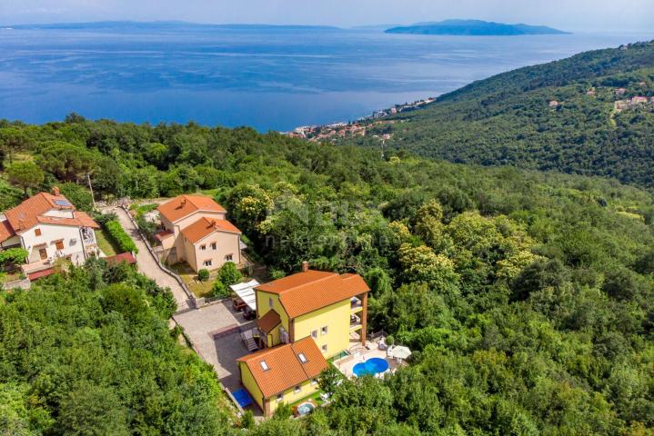 OPATIJA, BREGI - Vila novogradnja u mediteranskom stilu s dvije stambene jedinice, bazenom, gostinjs