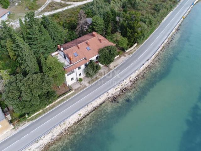 ISTRIA, NOVIGRAD, ANTENAL - house 10m from the sea!