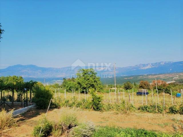 ISTRIEN, PIĆAN - Anwesen mit 3200m2 Garten und 340m2 Wohnfläche mit freiem Blick auf die Natur