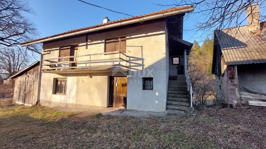 DREŽNICA, BJELOLASICA - Two houses with spacious land