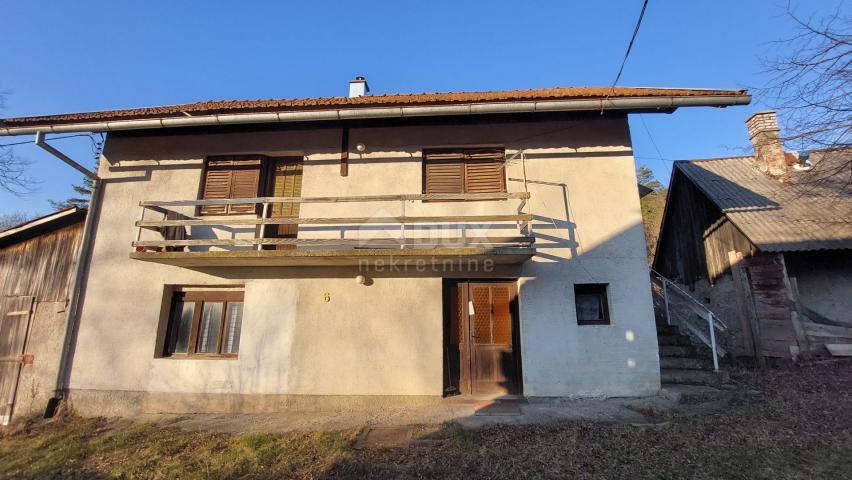 DREŽNICA, BJELOLASICA - Two houses with spacious land