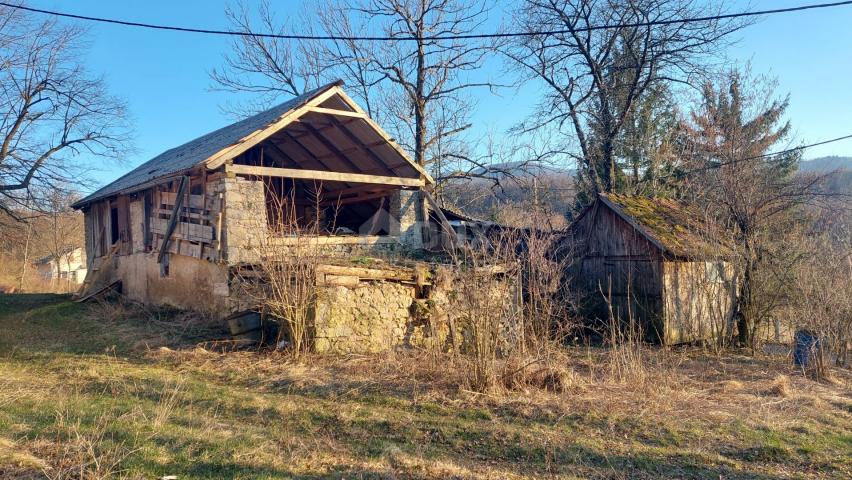 DREŽNICA, BJELOLASICA - Two houses with spacious land