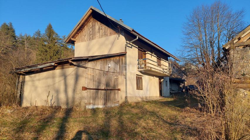 DREŽNICA, BJELOLASICA - Two houses with spacious land