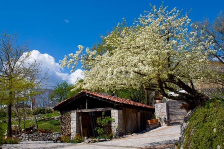 KASTAV - A unique villa with a magnificent garden