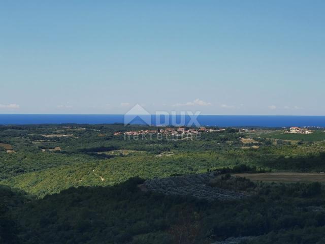 ISTRIA, BUJE - Stone house with a beautiful view