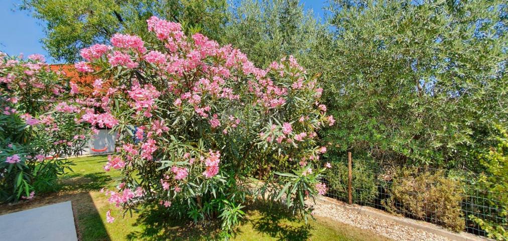 ISTRA, ŠIŠAN - Nova moderna vila s bazenom