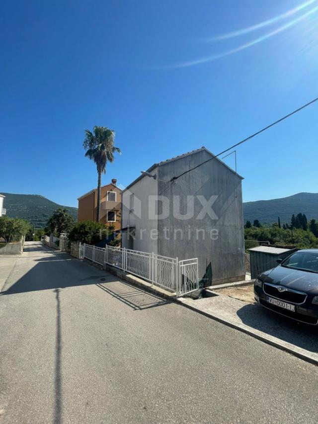 HODILJE, PELJESAC - holiday house