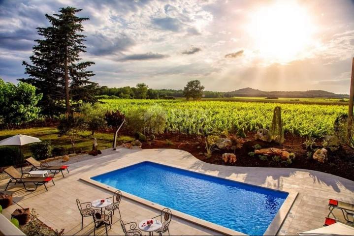 ISTRIA, POREČ - Stone house with swimming pool and beautiful vineyard