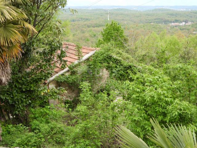 MATULJI, KUĆELI - Grundstück 12.000 m2 (ca. 6700 m2 bebaut) mit Meerblick + 3 Antiquitäten 220 m2