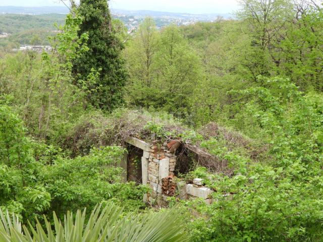 MATULJI, KUĆELI - Grundstück 12.000 m2 (ca. 6700 m2 bebaut) mit Meerblick + 3 Antiquitäten 220 m2