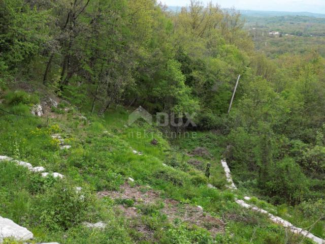 MATULJI, KUĆELI - Grundstück 12.000 m2 (ca. 6700 m2 bebaut) mit Meerblick + 3 Antiquitäten 220 m2