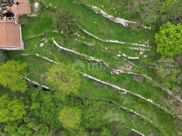 MATULJI, KUĆELI - Grundstück 12.000 m2 (ca. 6700 m2 bebaut) mit Meerblick + 3 Antiquitäten 220 m2