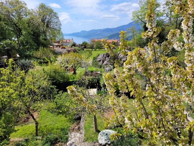 OPATIJA, MATULJI – Sensationelle Lage und Preis für 725 €/m2