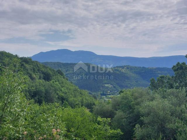 ISTRIA, GRAČIŠĆE - A stone house in complete seclusion with a view of greenery