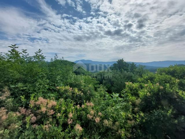 ISTRIA, GRAČIŠĆE - A stone house in complete seclusion with a view of greenery