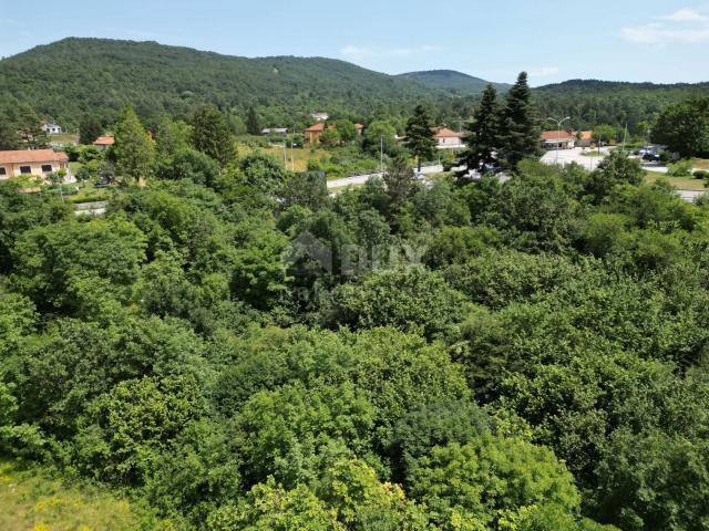 MATULJI, JURDANI, RUPA- građevinsko zemljište 9000m2 s GRAĐ. DOZVOLOM za halu i poslovno stambenu zg