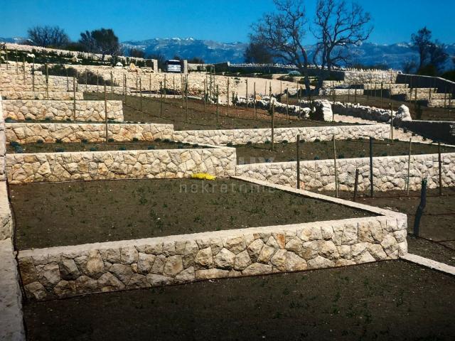 INSEL PAG, DRAŽICE - Außergewöhnliches Baugrundstück