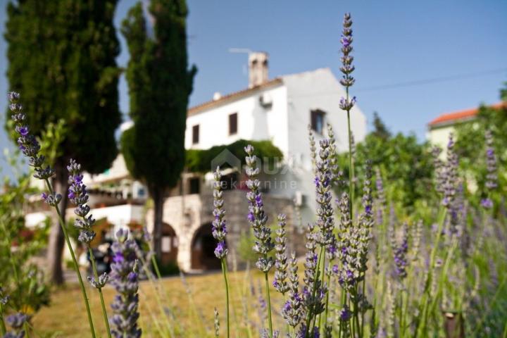 OTOK KRK, PUNAT - Kamena kuća s velikom okućnicom