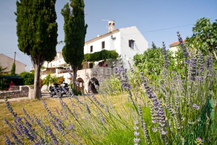 OTOK KRK, PUNAT - Kamena kuća s velikom okućnicom