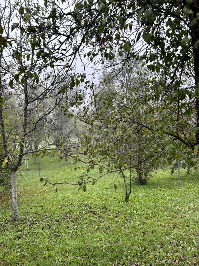 OTOČAC - Haus mit großem Garten und 2 Baustellen