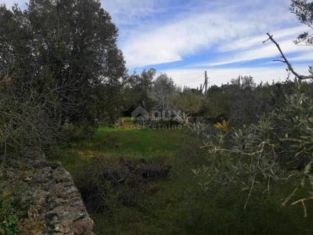 PAŠMAN ISLAND, ŽDRELAC - 3000 m2 of building land near the sea