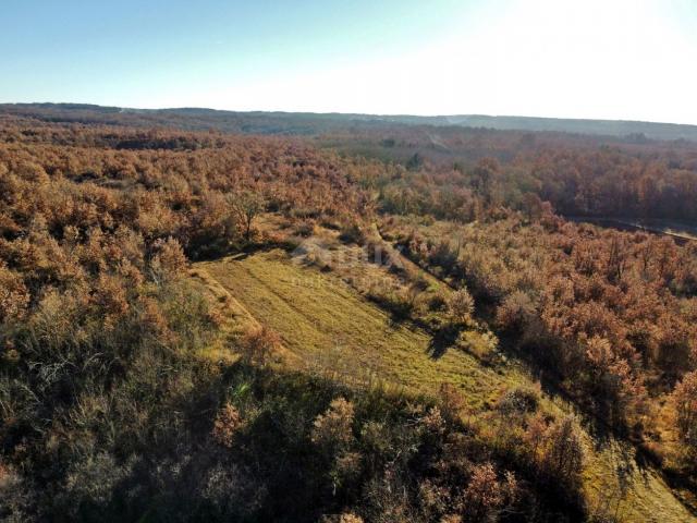 ISTRIA, TINJAN - Building plot on the edge of the village