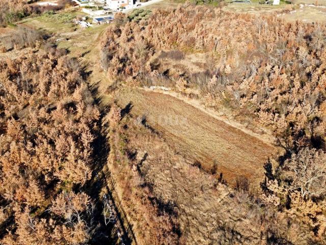 ISTRIA, TINJAN - Building plot on the edge of the village