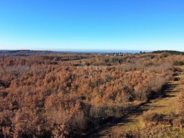 ISTRIA, TINJAN - Building plot on the edge of the village