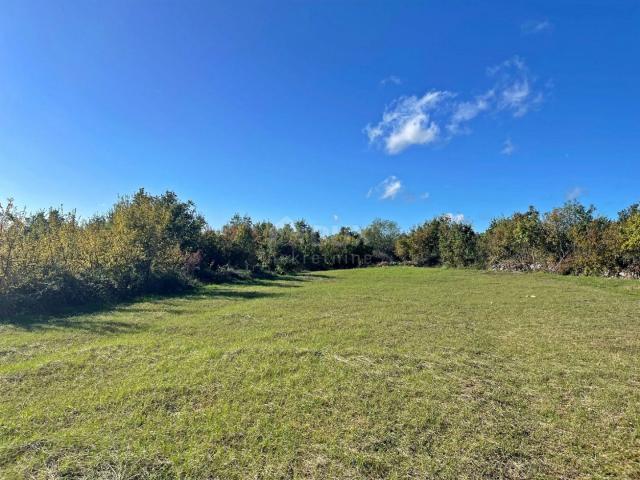 ISTRIA, TINJAN - Building plot on the edge of the village