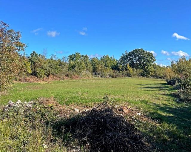 ISTRIA, TINJAN - Building plot on the edge of the village