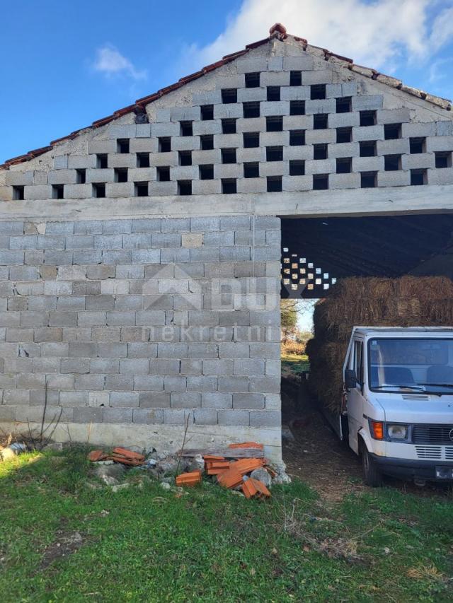 BIOGRAD, RAŠTANE GORNJE- Kamena kuća na parceli od 2300 m2