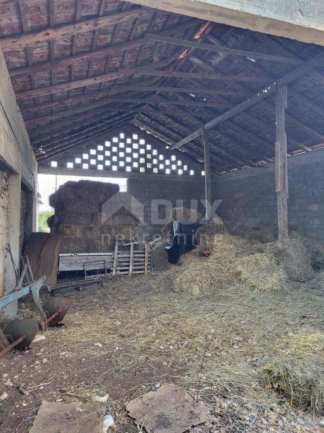 BIOGRAD, RAŠTANE GORNJE- Kamena kuća na parceli od 2300 m2