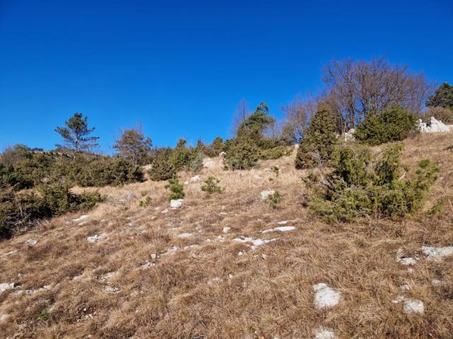 Land Lupoglav, 41.157m2