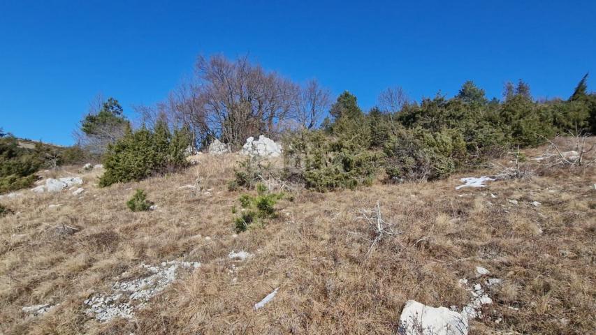 Land Lupoglav, 41.157m2