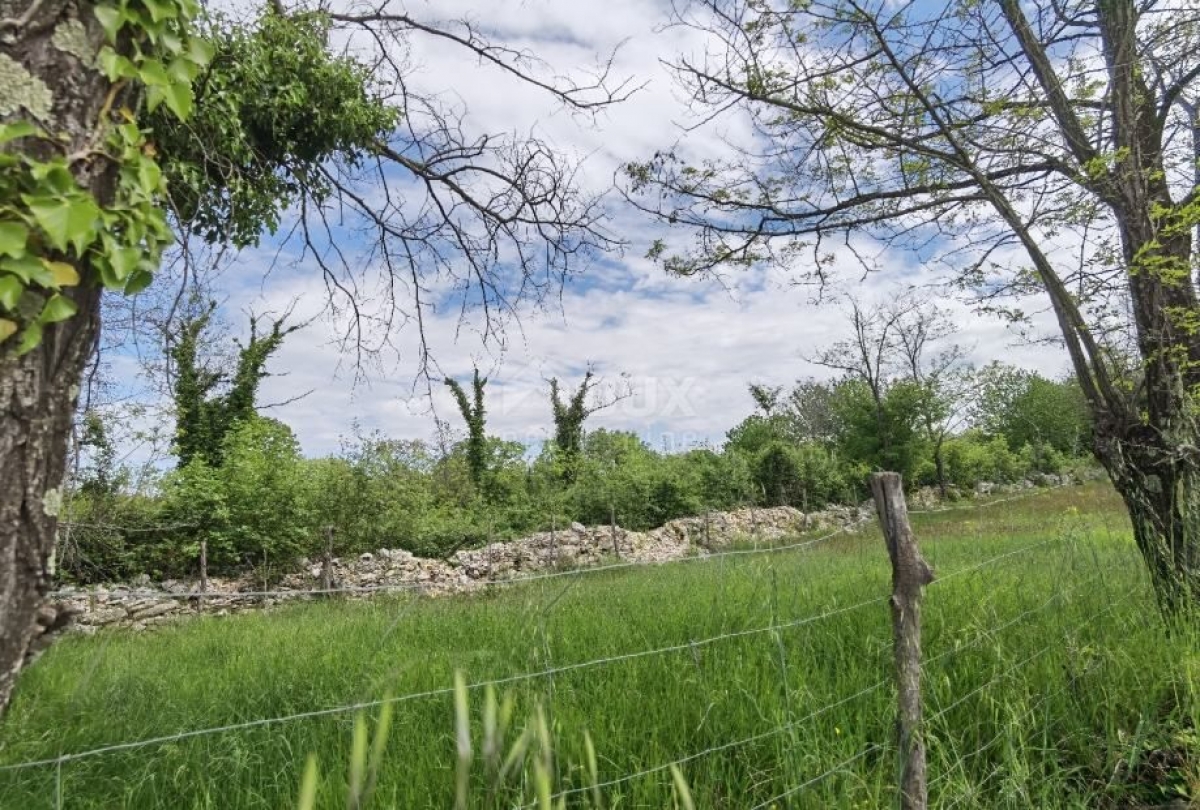 ISTRIA, VIŠNJAN Building plot for investors!