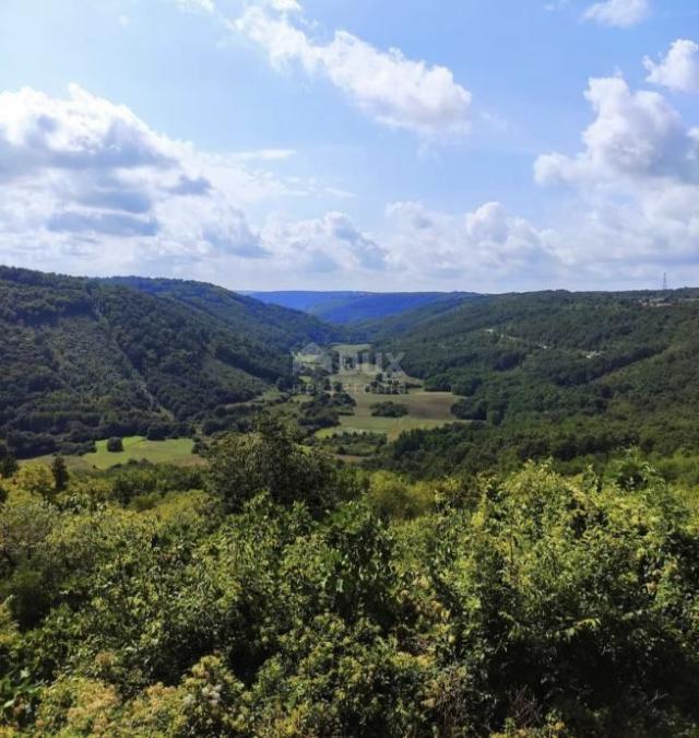 ISTRIA, TINJAN - Building plot surrounded by greenery!