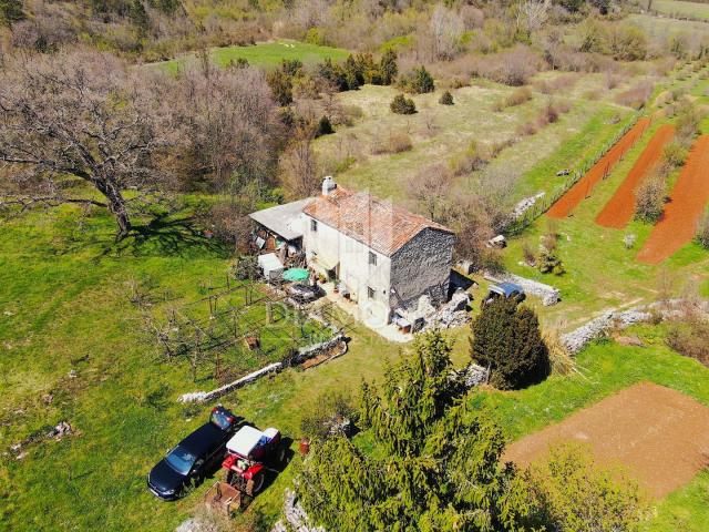 Labin, okolica, istarska kuća na velikom imanju