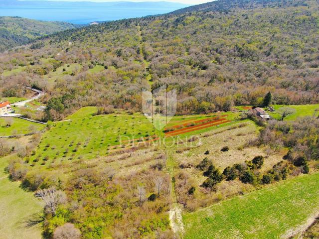 Labin, okolica, istarska kuća na velikom imanju